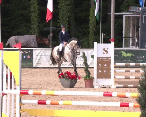 Reitturnier Ranshofen - Braunau am Inn 2025
