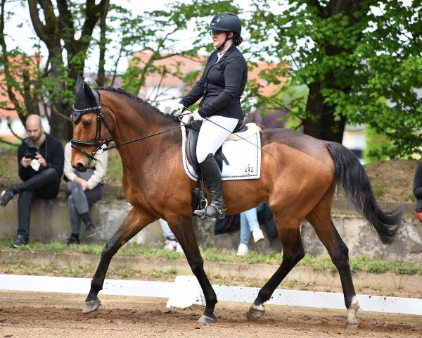 Svenja Luther