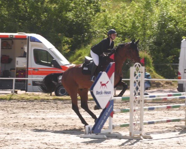 Reitturnier Heiligenwald 2025