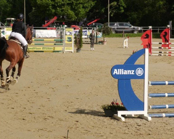 Reitturnier Winnenden 2025