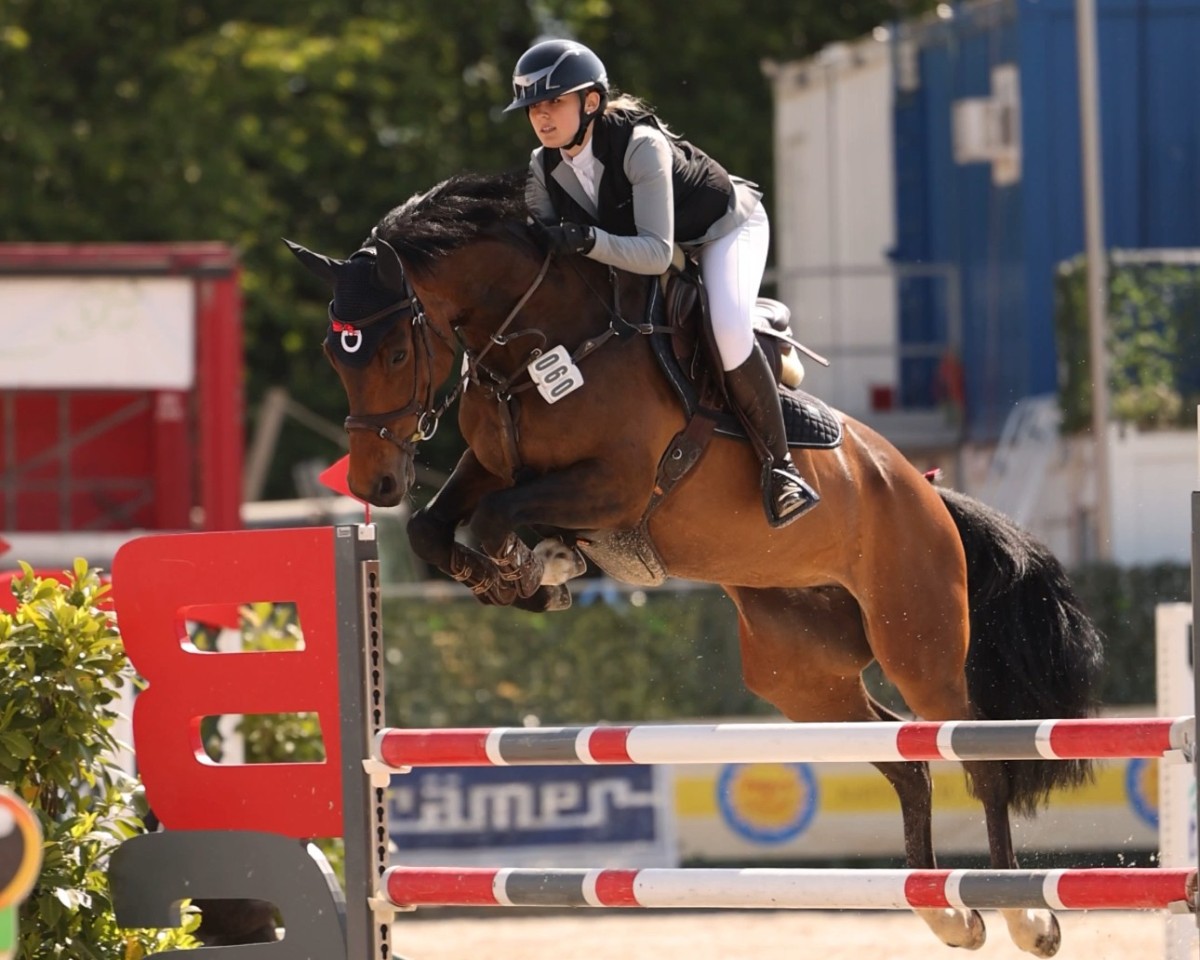 jumper Call Me Coolness (German Sport Horse, 2017, from Cody 69)