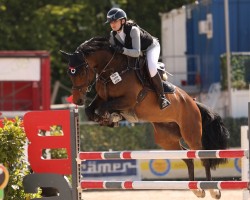 jumper Call Me Coolness (German Sport Horse, 2017, from Cody 69)