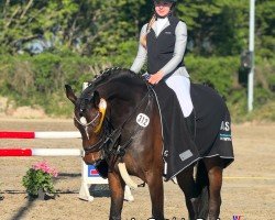 jumper Lilith 38 (Holsteiner, 2018, from Dinken)