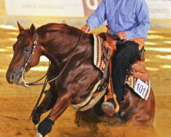 horse Lil Big Ruf (Quarter Horse, 2007, from Lil Ruf Peppy)