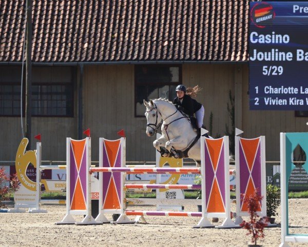 jumper Casino 92 (Oldenburg show jumper, 2013, from Casino Berlin OLD)