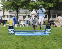 Zuchtstute Laona of Baltic Sea (Shetland Pony, 2011, von Gordan of Baltic Sea)