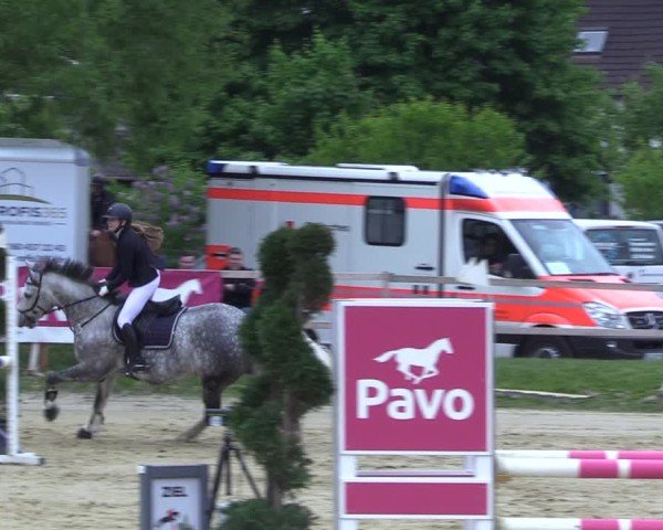 Reitturnier Niederbergheim 2025
