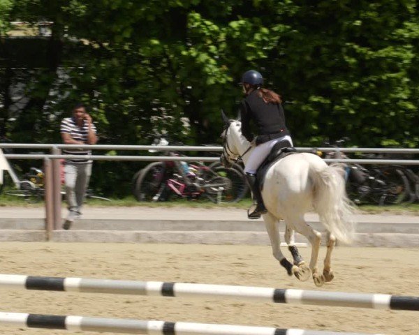 Reitturnier Winnenden 2025
