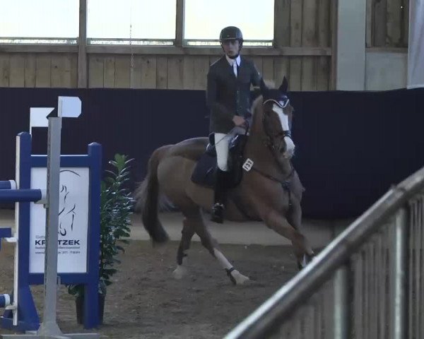 Hallenspringturnier Weilheim/Teck 2014