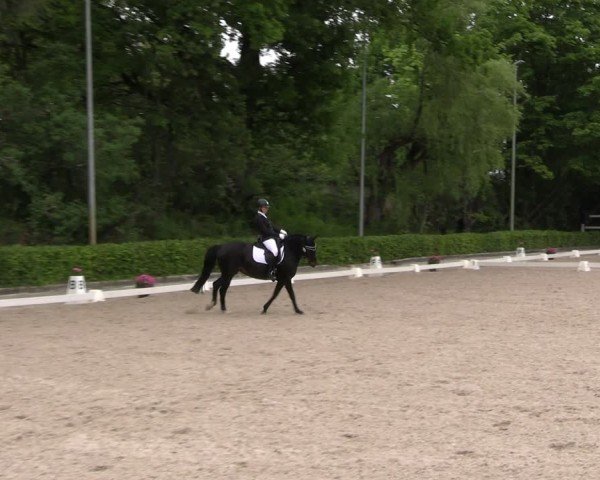 Reitturnier Müncheberg 2025
