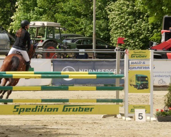 Reitturnier Winnenden 2025