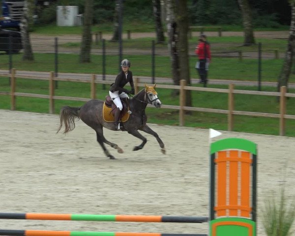 Reitturnier Westergellersen 2021