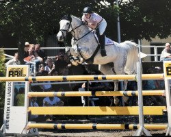 broodmare Total Touch 4 (KWPN (Royal Dutch Sporthorse), 2010, from Campbell VDL)