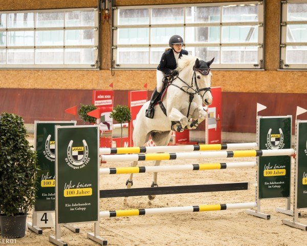 jumper Contact Me's Jack (Oldenburg show jumper, 2010, from Clinton I)
