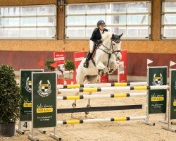 jumper Contact Me's Jack (Oldenburg show jumper, 2010, from Clinton I)