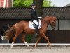 Zuchtstute Dream 44 (Deutsches Reitpony, 2015, von FS Don't Worry)