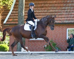 dressage horse Bonna Rosa (Hannoveraner, 2017, from Bon Coeur)