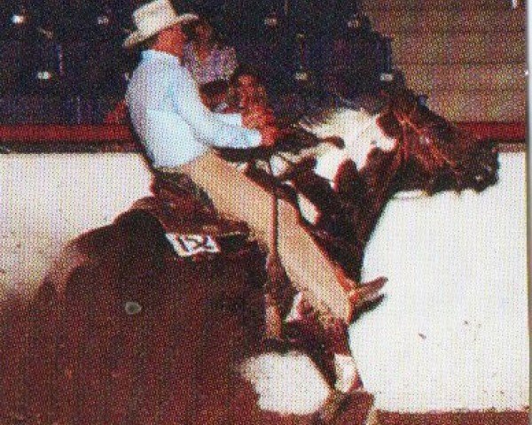 horse No Controversy (Paint Horse, 1991, from Conclusive)