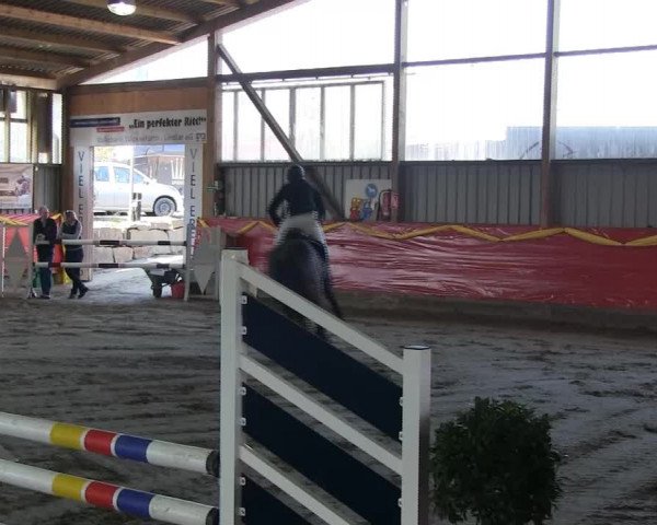 Hallenreitturnier Lindlar-Süttenbach 2014