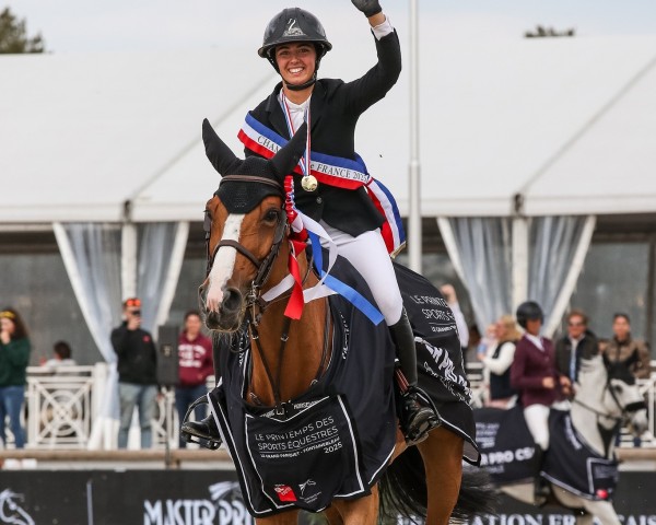 broodmare Nikka vd Bisschop (Belgian Warmblood, 2013, from Emerald van 't Ruytershof)