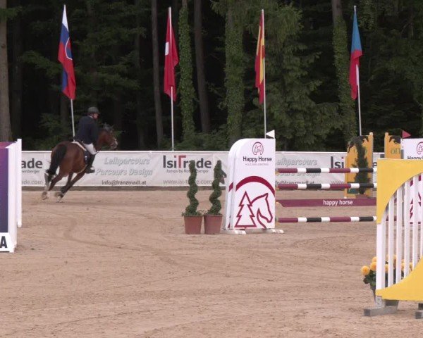 Reitturnier Ranshofen - Braunau am Inn 2025
