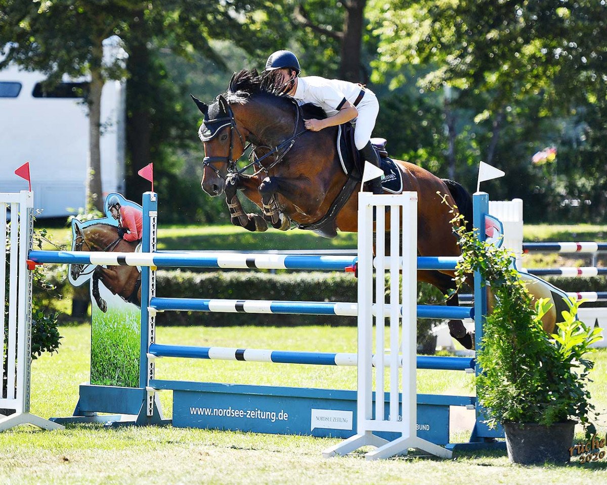 jumper Can Christiano (Hanoverian, 2009, from Canstakko)