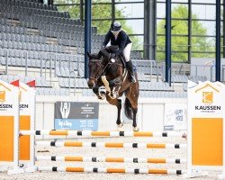jumper Caramba de Vidal (Hanoverian, 2020, from Conthargos)