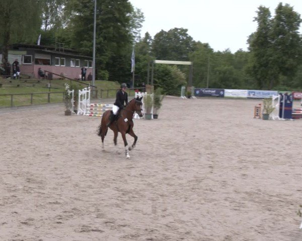 Reitturnier Erkrath - Uhlenhof 2025