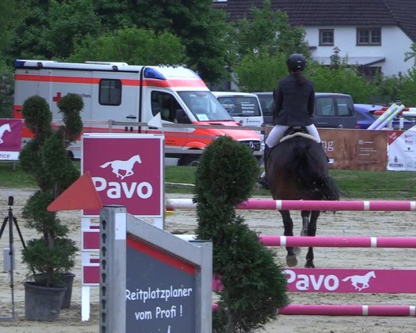 Reitturnier Niederbergheim 2025