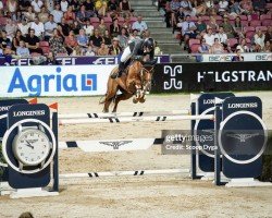 jumper Bentley de Sury (Selle Français, 2011, from Sunday de Riverland)