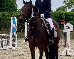 Zuchtstute Delight S (Deutsches Reitpony, 2017, von Del Piero 25)