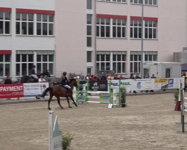 Reitturnier Sulgen 2025
