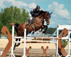 jumper Bonita 553 (Hanoverian, 2017, from Brantzau)