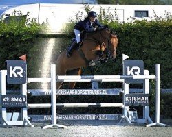 Springpferd Chocoprince of Picobello Z (Zangersheide Reitpferd, 2016, von Contendro I)
