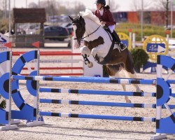 jumper Fyra (unknown, 2015)
