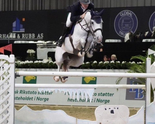 broodmare Assira (Sella Italiano, 2010, from Berlin)