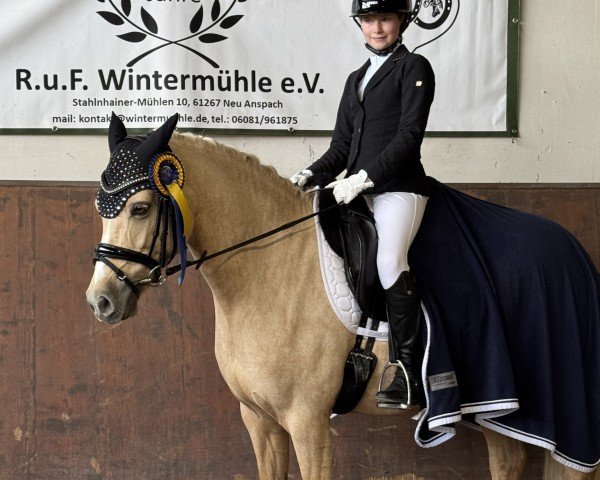 dressage horse A Little Heartbreaker (German Riding Pony, 2016, from A Gorgeous)