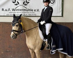 Dressurpferd A Little Heartbreaker (Deutsches Reitpony, 2016, von A Gorgeous)