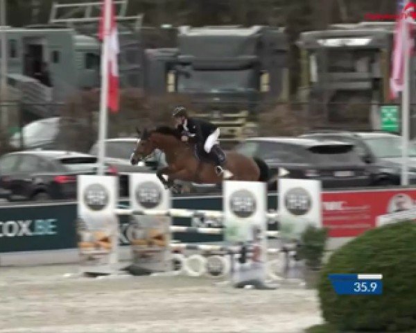jumper Caipirol (Holsteiner, 2018, from Casall Ask)
