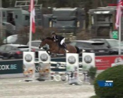 jumper Caipirol (Holsteiner, 2018, from Casall Ask)