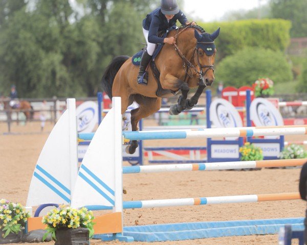 jumper Jump The Gun (Irish horse, 2018, from I'm Special de Muze)