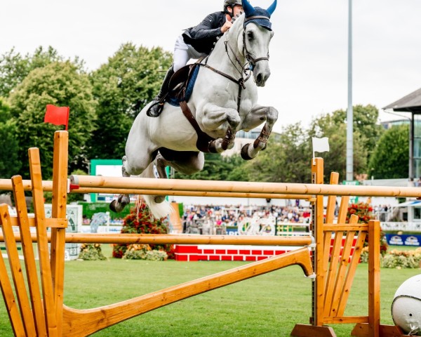 jumper HHS Cornetta (Irish Sport Horse, 2015, from Cornet Obolensky)