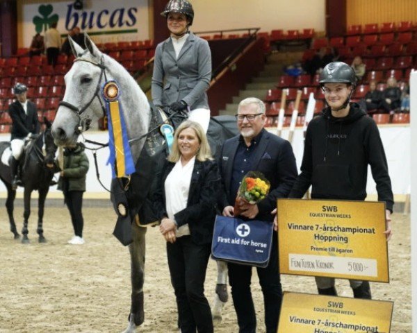 Springpferd Castiglion T (Schwedisches Warmblut, 2016, von Corporal VDL)