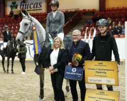 jumper Castiglion T (Swedish Warmblood, 2016, from Corporal VDL)
