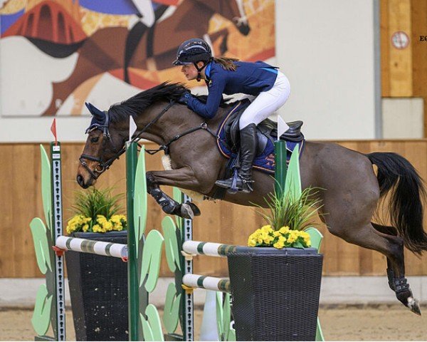 jumper Donna 820 (German Riding Pony, 2007, from Durello)