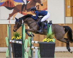 Springpferd Donna 820 (Deutsches Reitpony, 2007, von Durello)