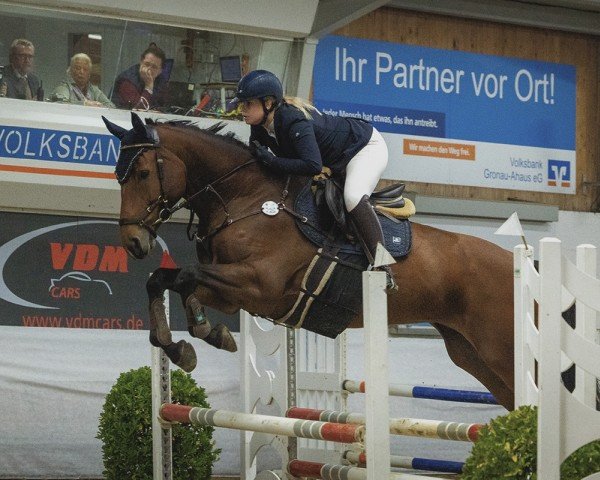 Springpferd Nashville K 3 (KWPN (Niederländisches Warmblut), 2018, von Ibolensky)