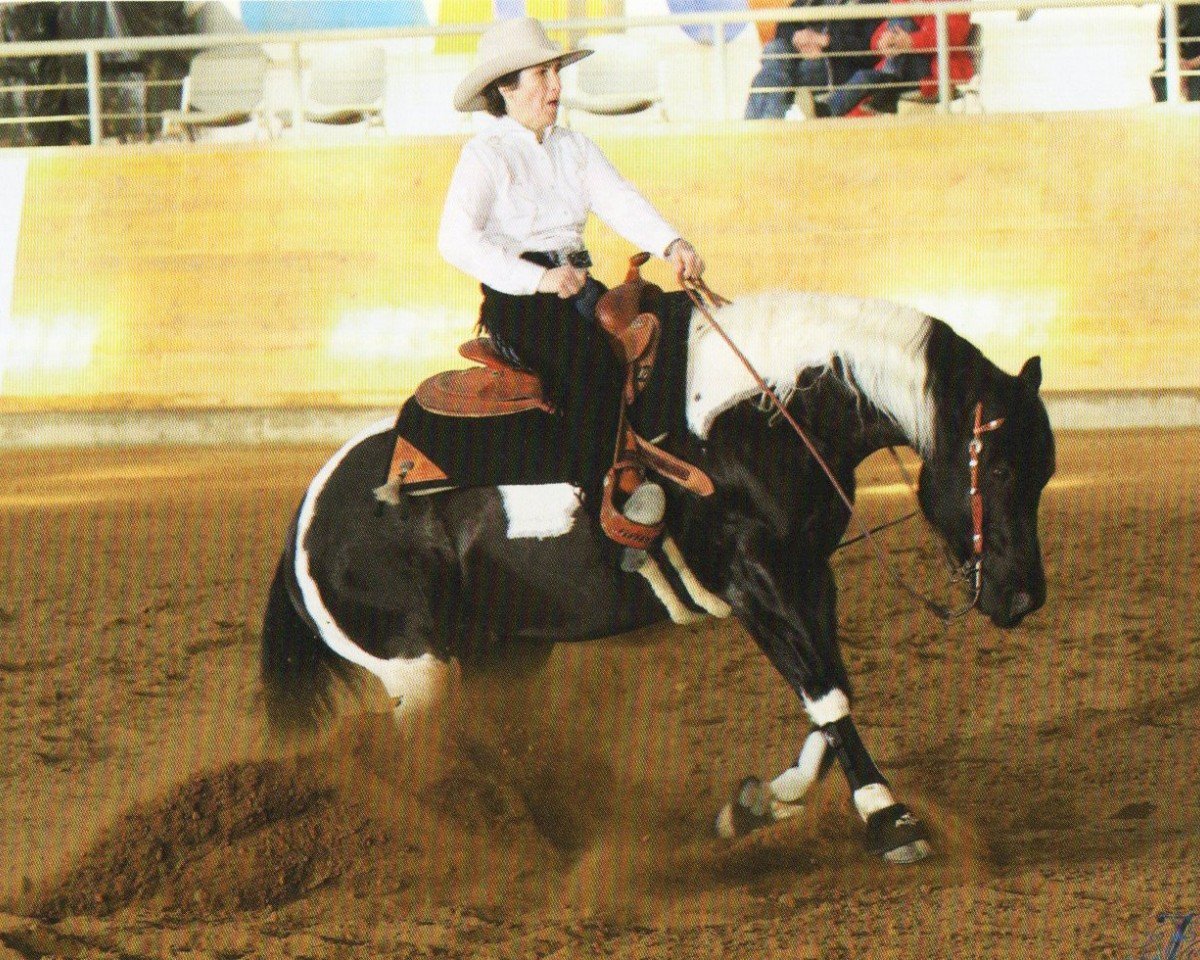 horse Mark This Chex (Paint Horse, 2009, from Big Chex To Cash)