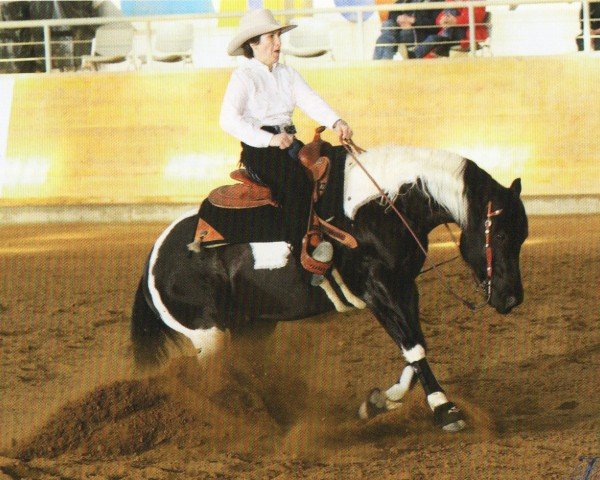 horse Mark This Chex (Paint Horse, 2009, from Big Chex To Cash)