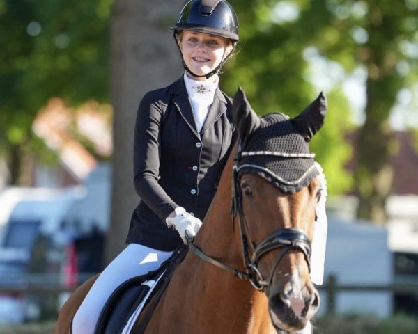broodmare Eminenza (KWPN (Royal Dutch Sporthorse), 2009, from Vivaldi)
